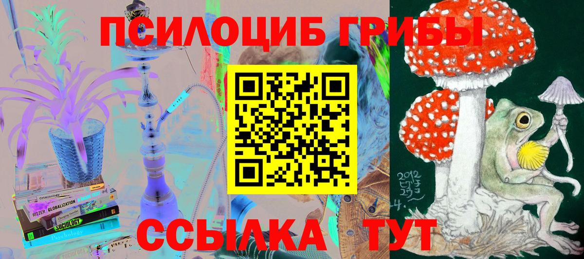 Псилоцибиновые грибы GOLDEN TEACHER  Галлюциногенные грибы прущие грибы  цена наркотик  Вход с VPN  Альметьевск 